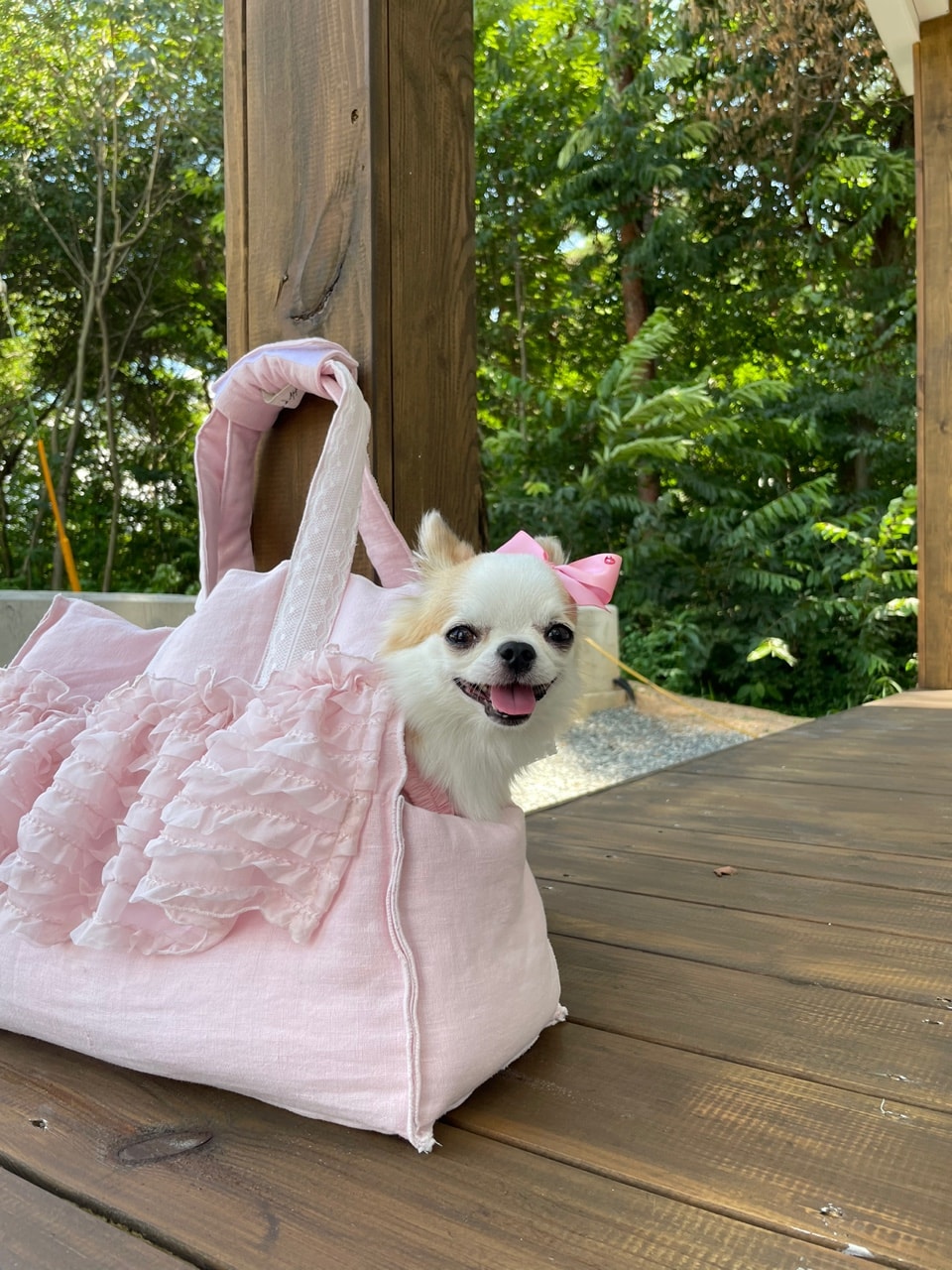 틴캉캉 백