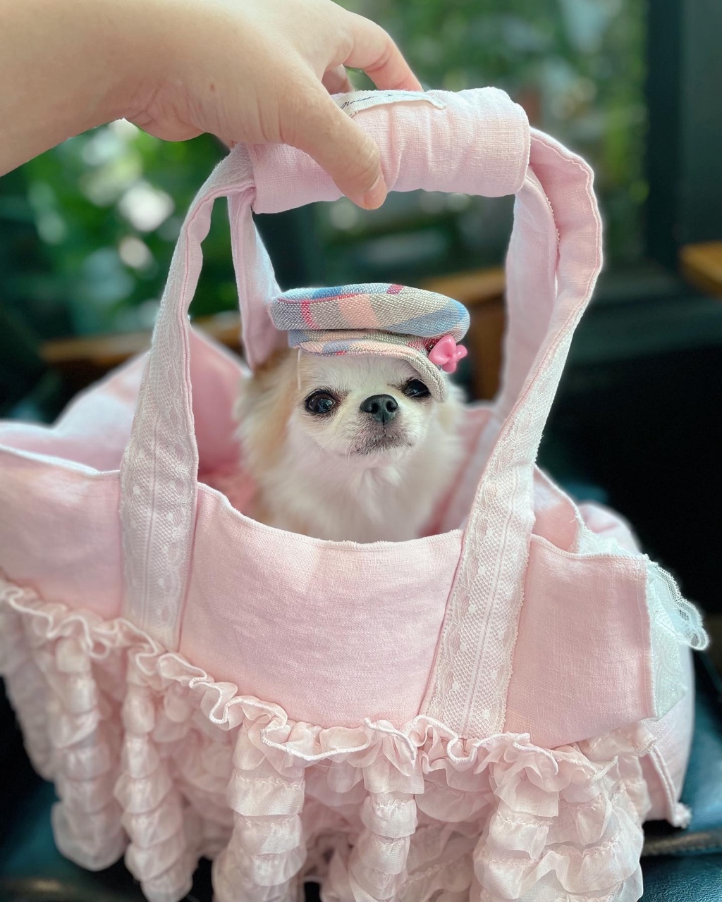 틴캉캉 백