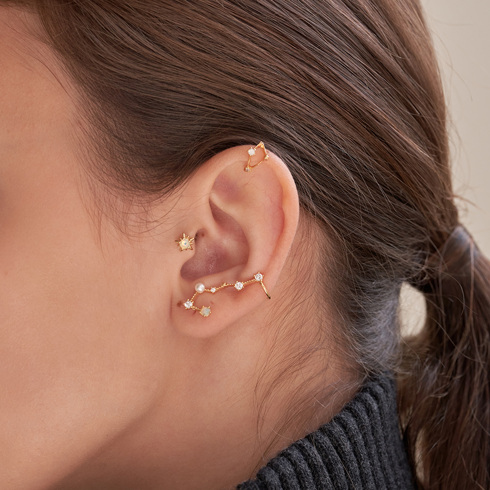 EARRING NO 409