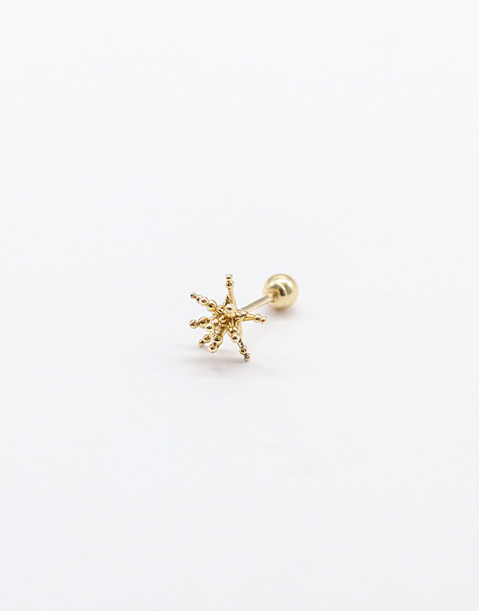 EARRING NO 473