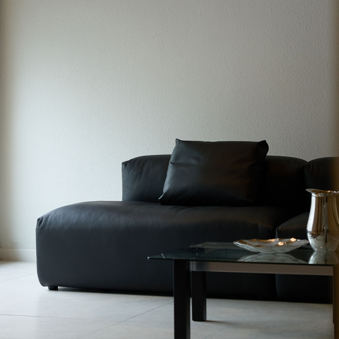 NO5. Soft Goose 2600 Lounge Sofa(Leather)