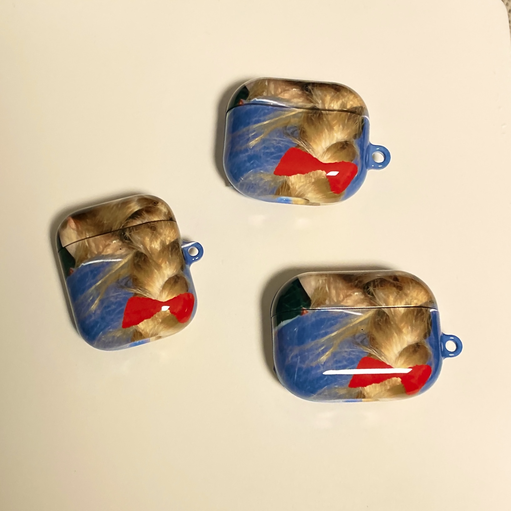 tail airpod case