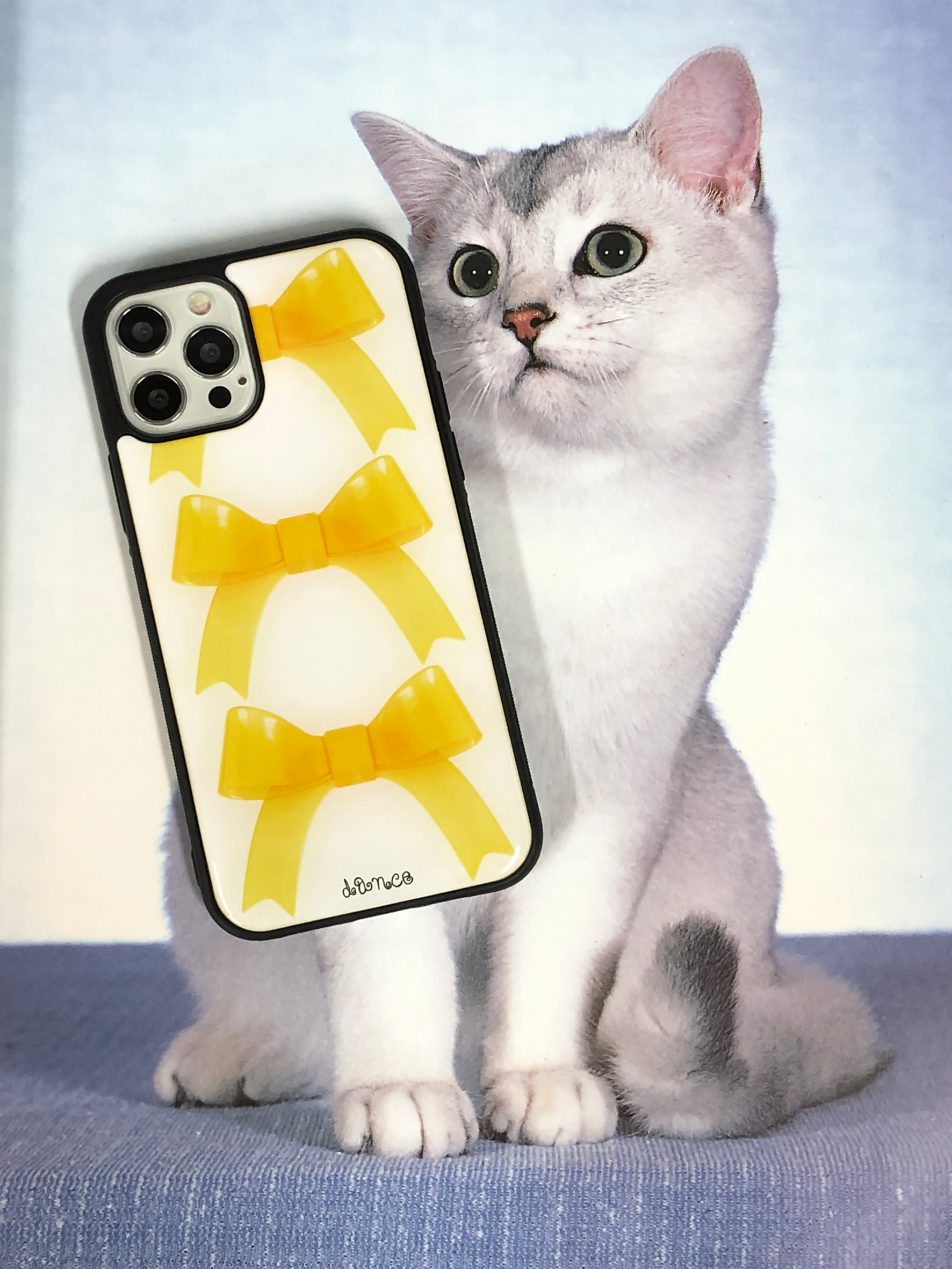 Jelly Ribbon case [epoxy]