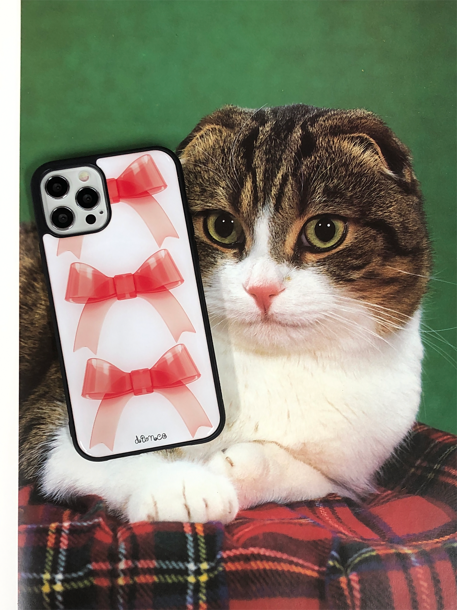 Jelly Ribbon case [epoxy]