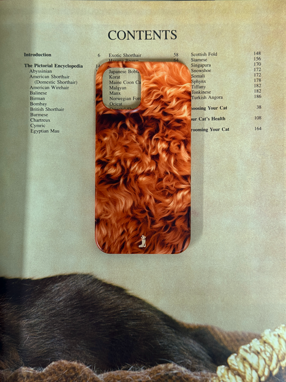 Curious Fur case [ 6color ]