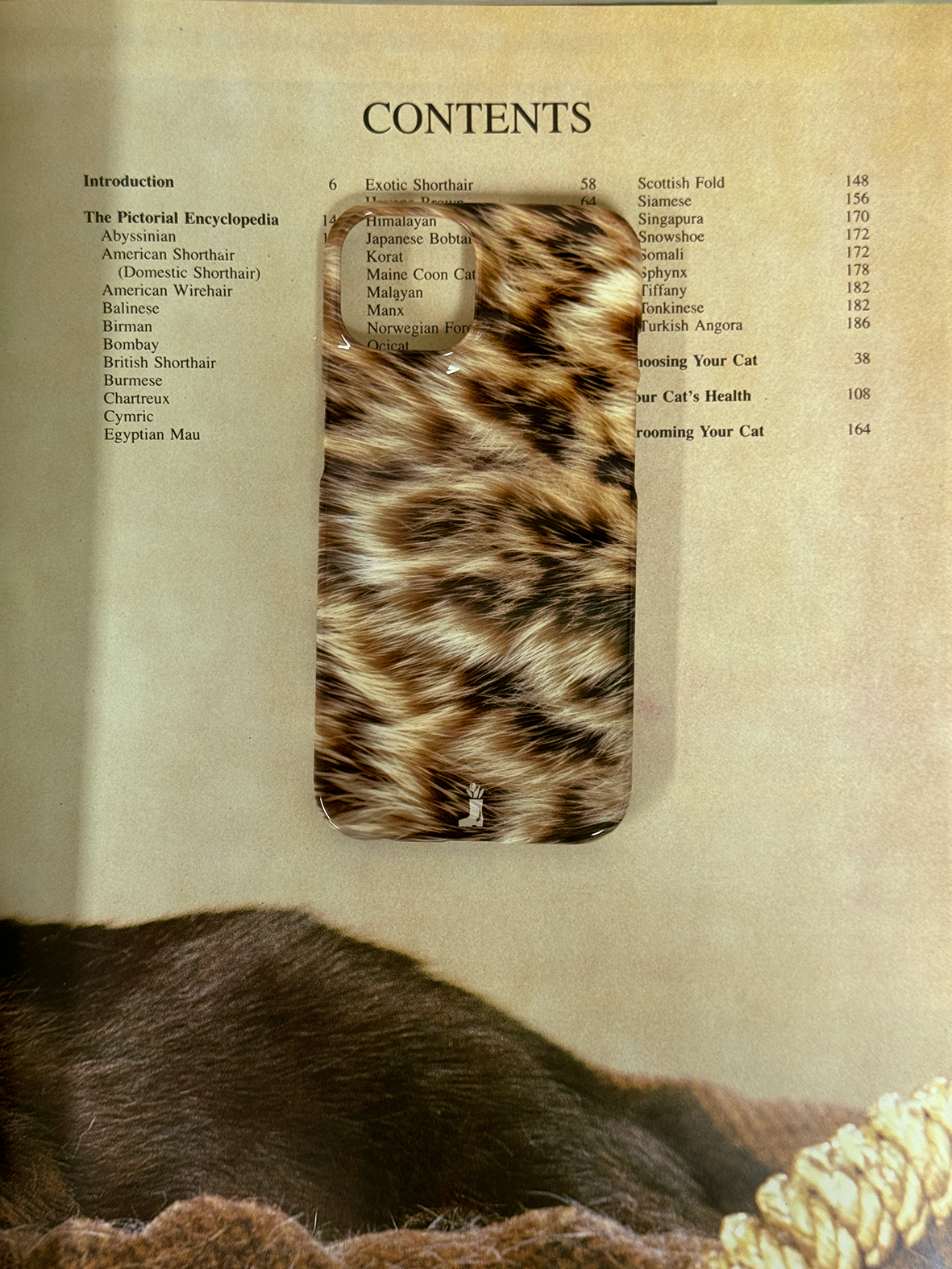 Curious Fur case [ 6color ]