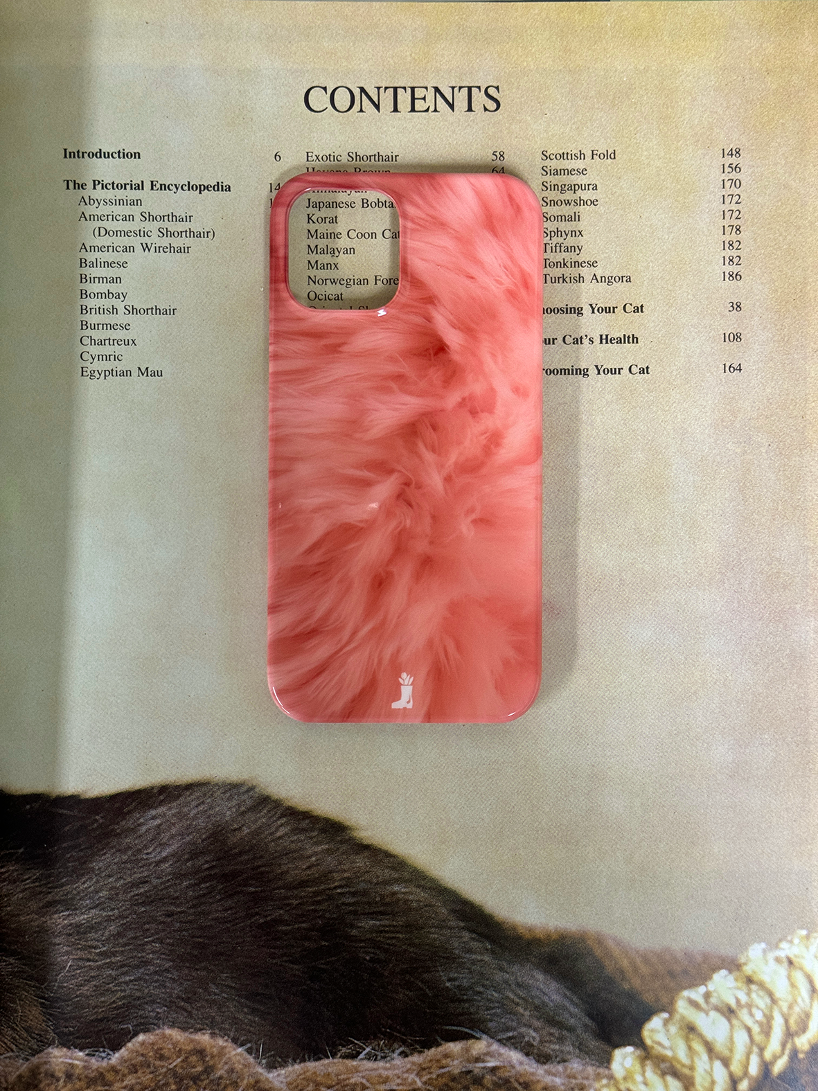 Curious Fur case [ 6color ]