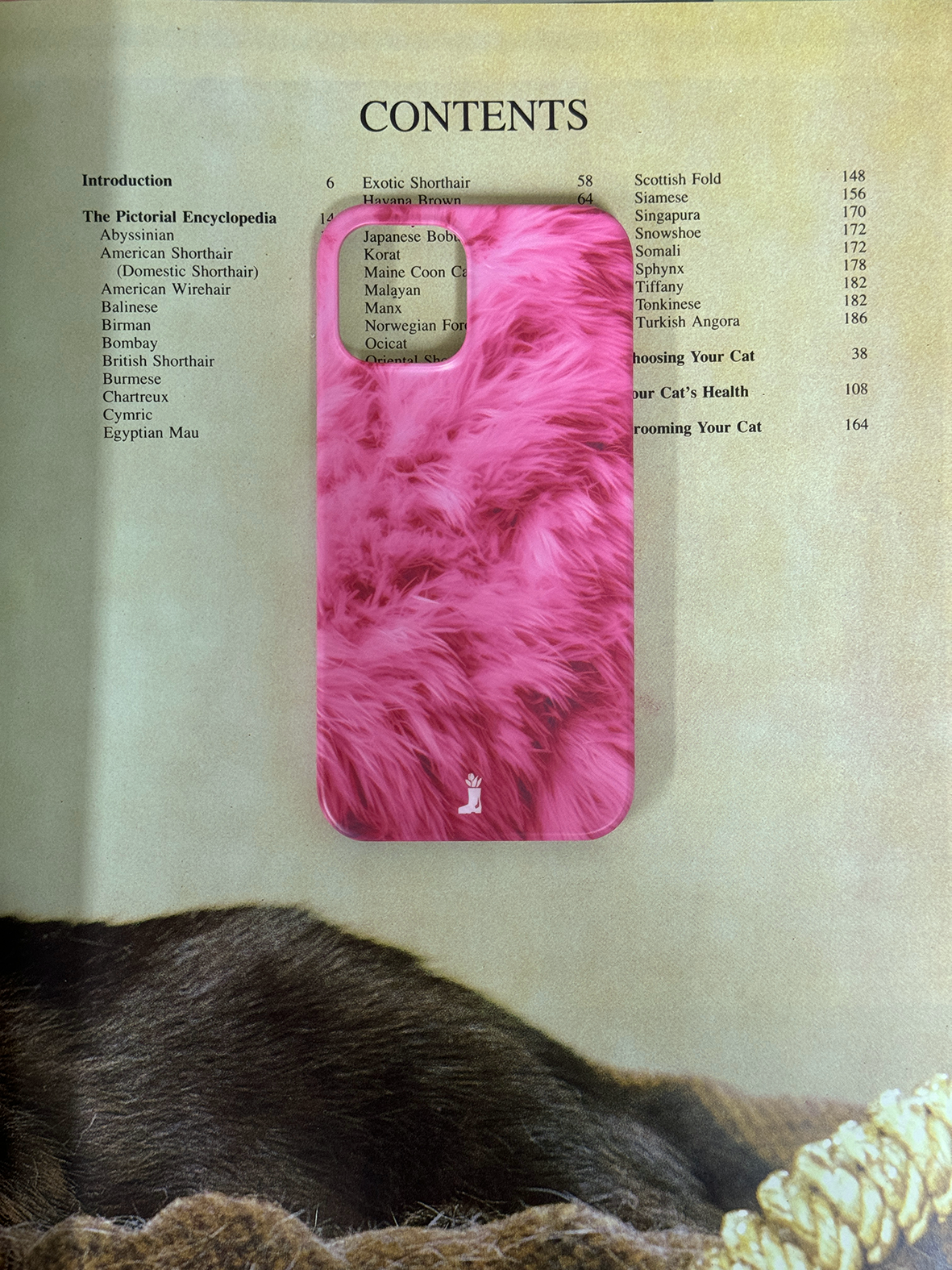 Curious Fur case [ 6color ]