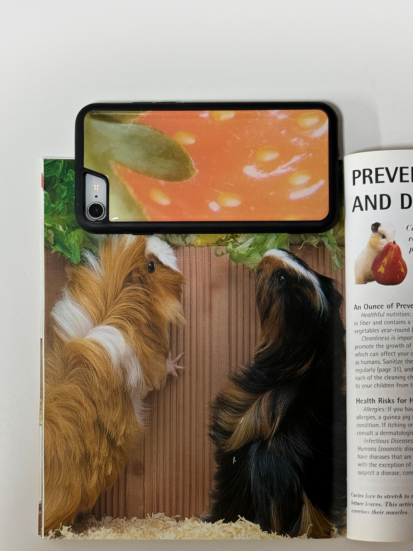당일발송 새상품) 딸기의 변신은 무죄! epoxy case