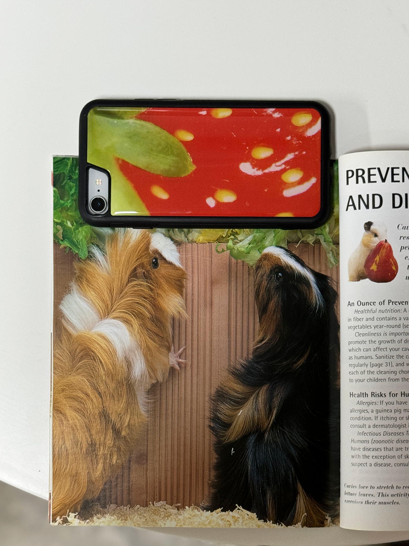 당일발송 새상품) 딸기의 변신은 무죄! epoxy case