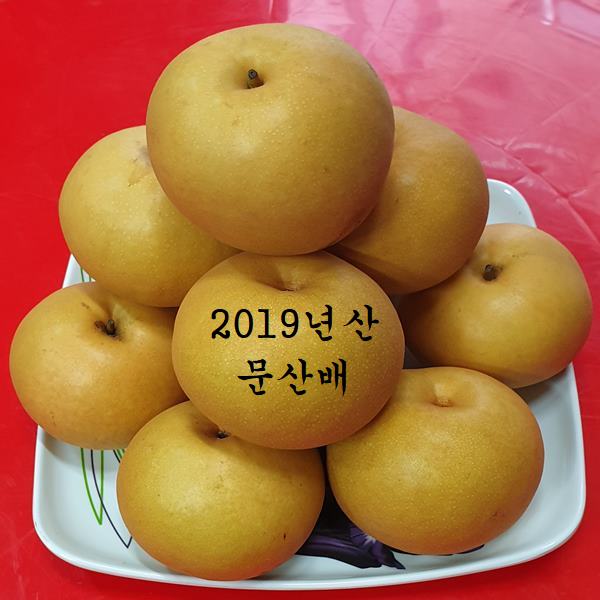도라지 배 생강즙200포기관지에좋은차 목에좋은차 감기예방 천식 가래 환절기엔 면연력증진