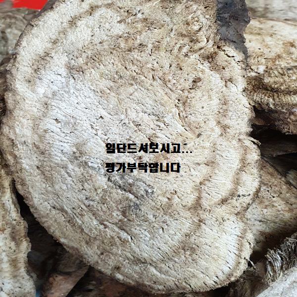 숙취해소에 좋은 차