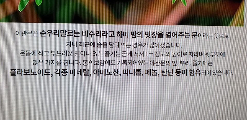 야관문(비수리) 600그램