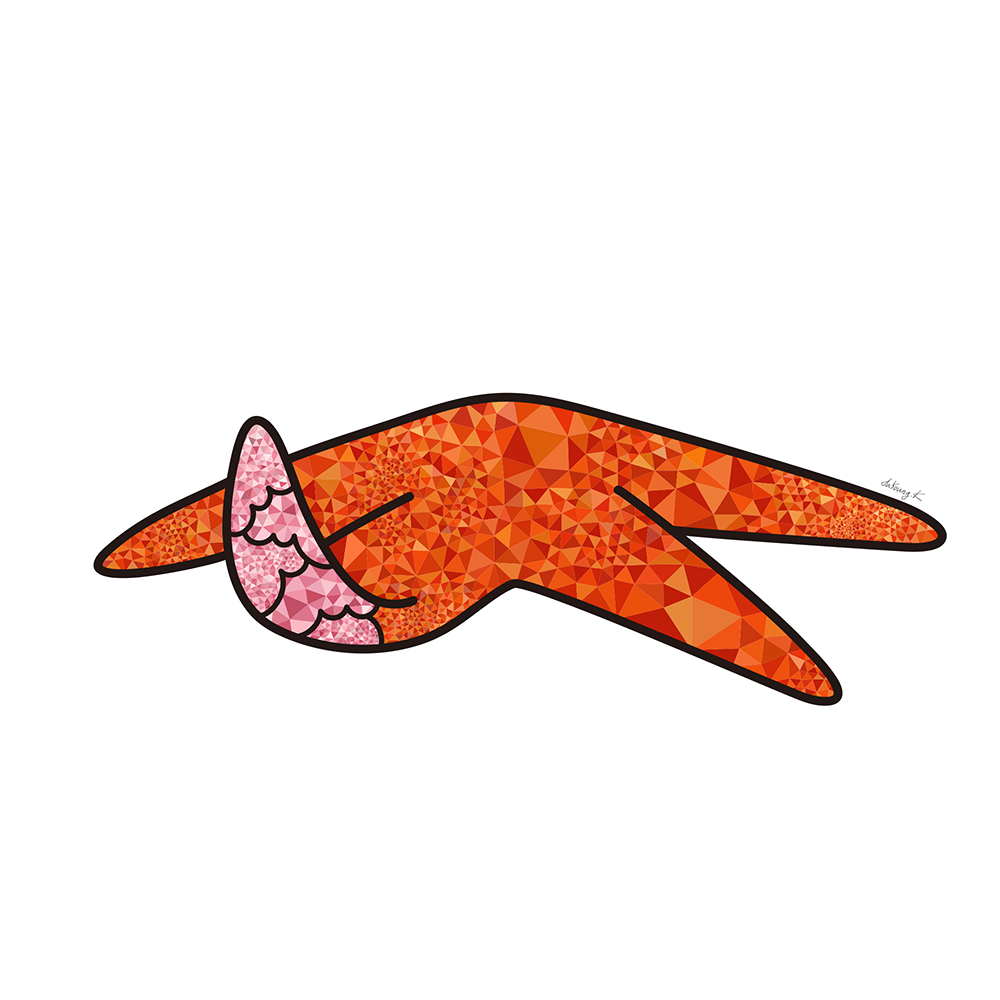 바다 불가사리 그림 판매