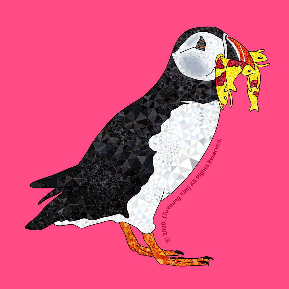 퍼핀 (코뿔바다오리) 그림 판매