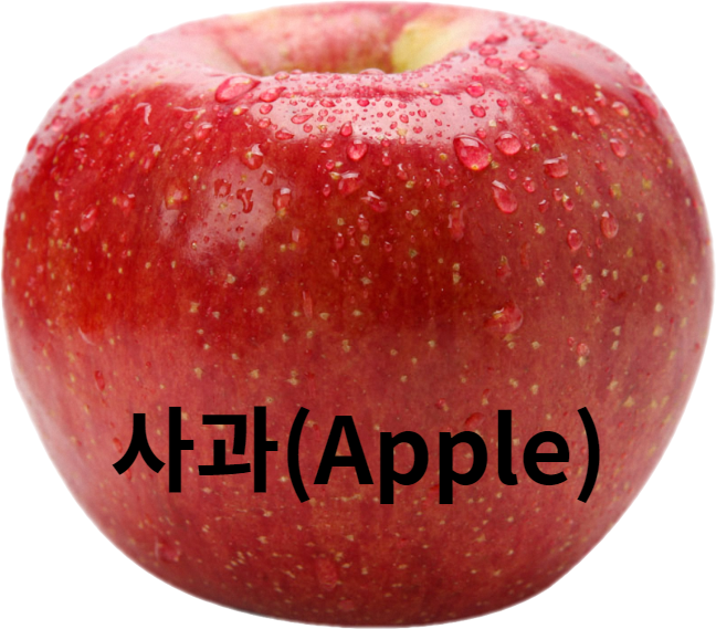 ABC쥬스 50포 사과 비트 당근 유산소운동