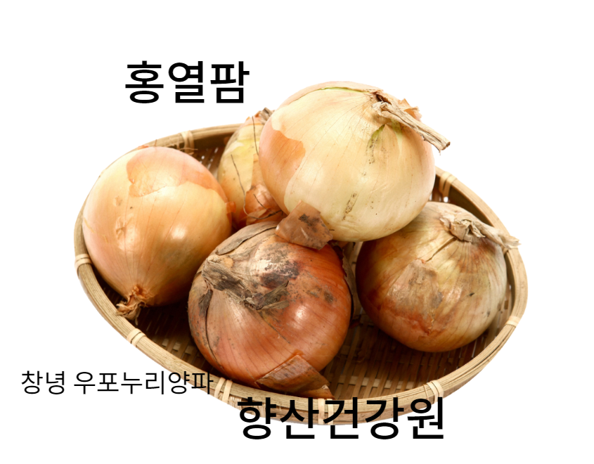 홍열팜 영양제 햇양파즙100포