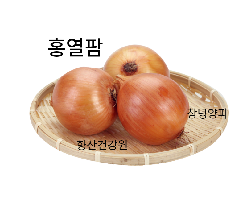 면역력양파즙120포 혈관 관절팔팔 혈액순환 감기 당뇨 순수 무안양파 콜레스트롤 다이어트차