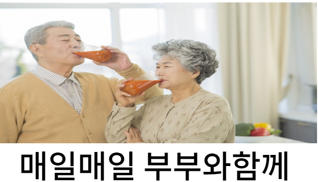 면역력양파즙120포 혈관 관절팔팔 혈액순환 감기 당뇨 순수 무안양파 콜레스트롤 다이어트차