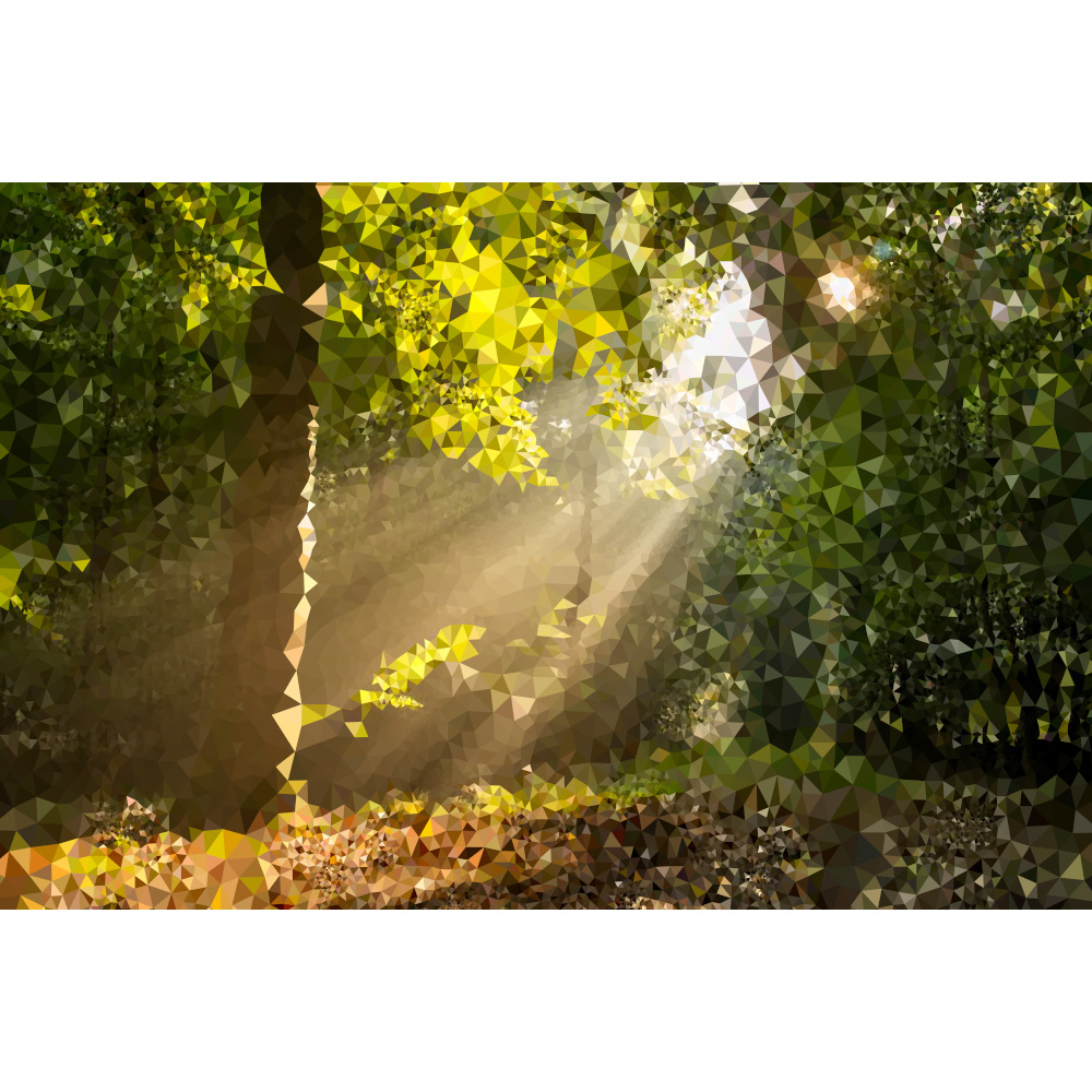 Forest Silver Lining 풍경화