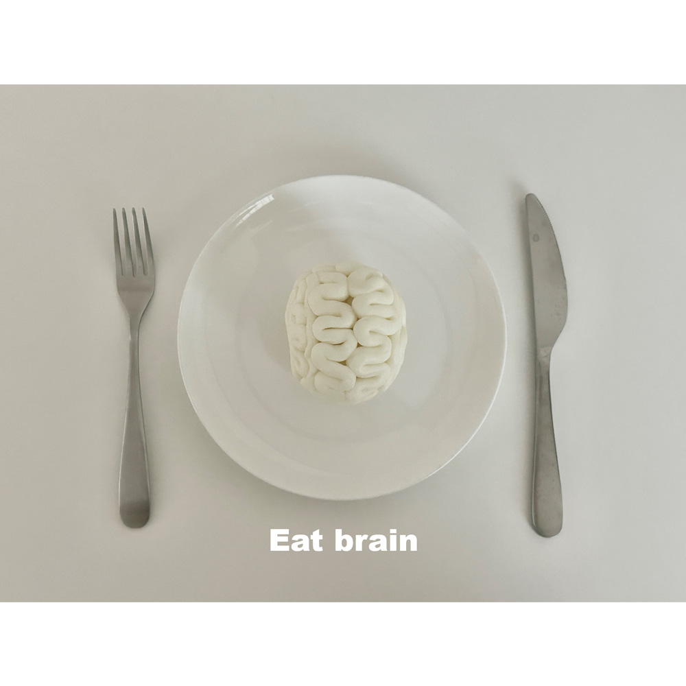 Brain pack