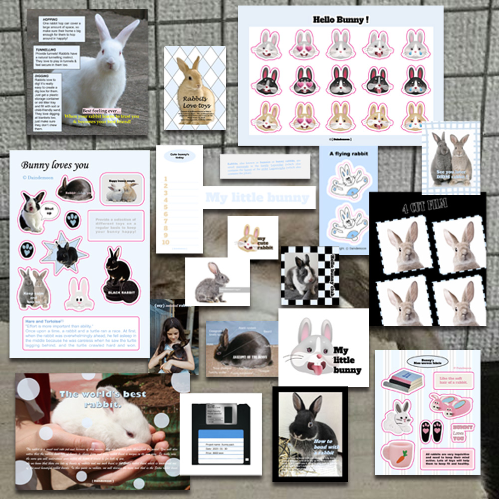 Bunny pack