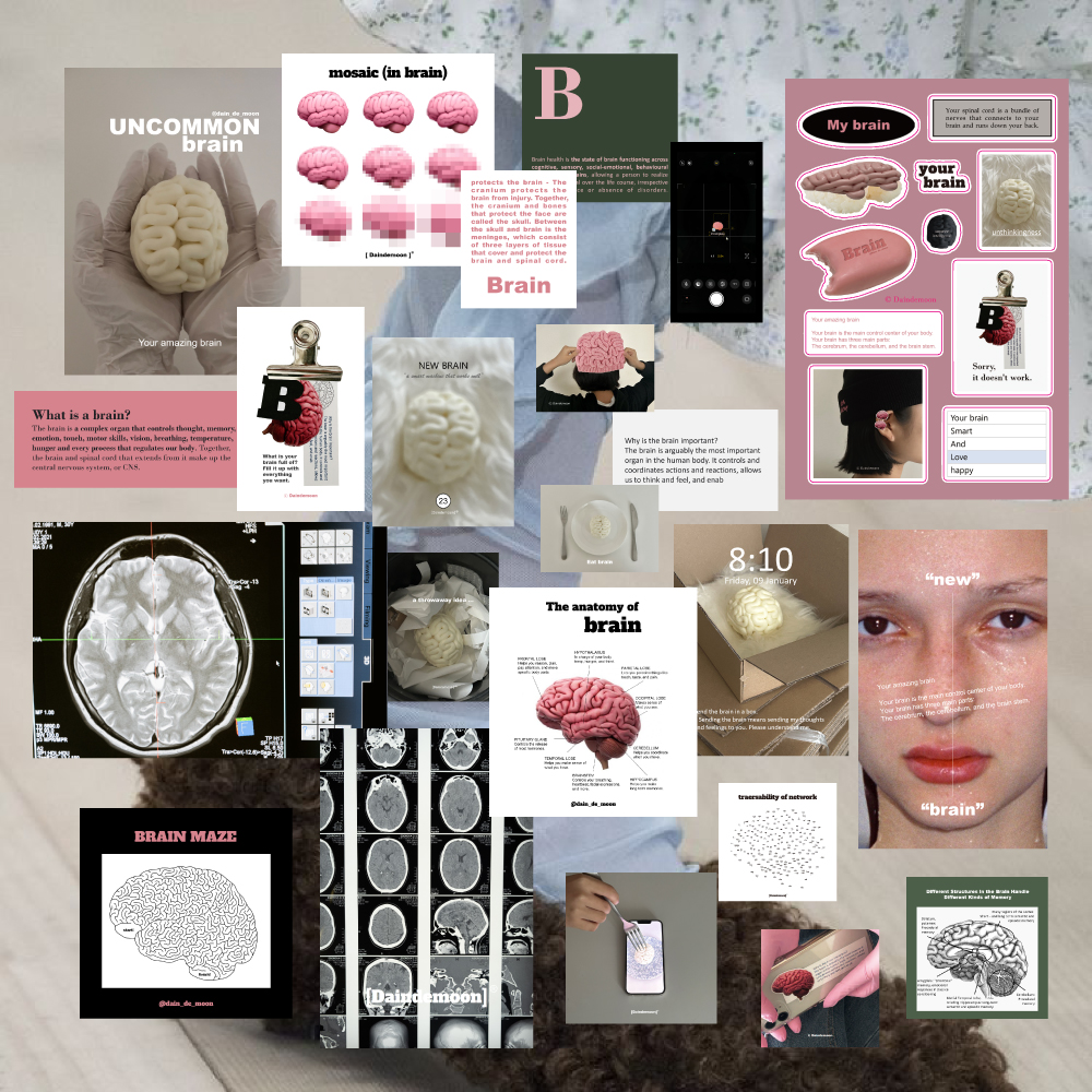 Brain pack