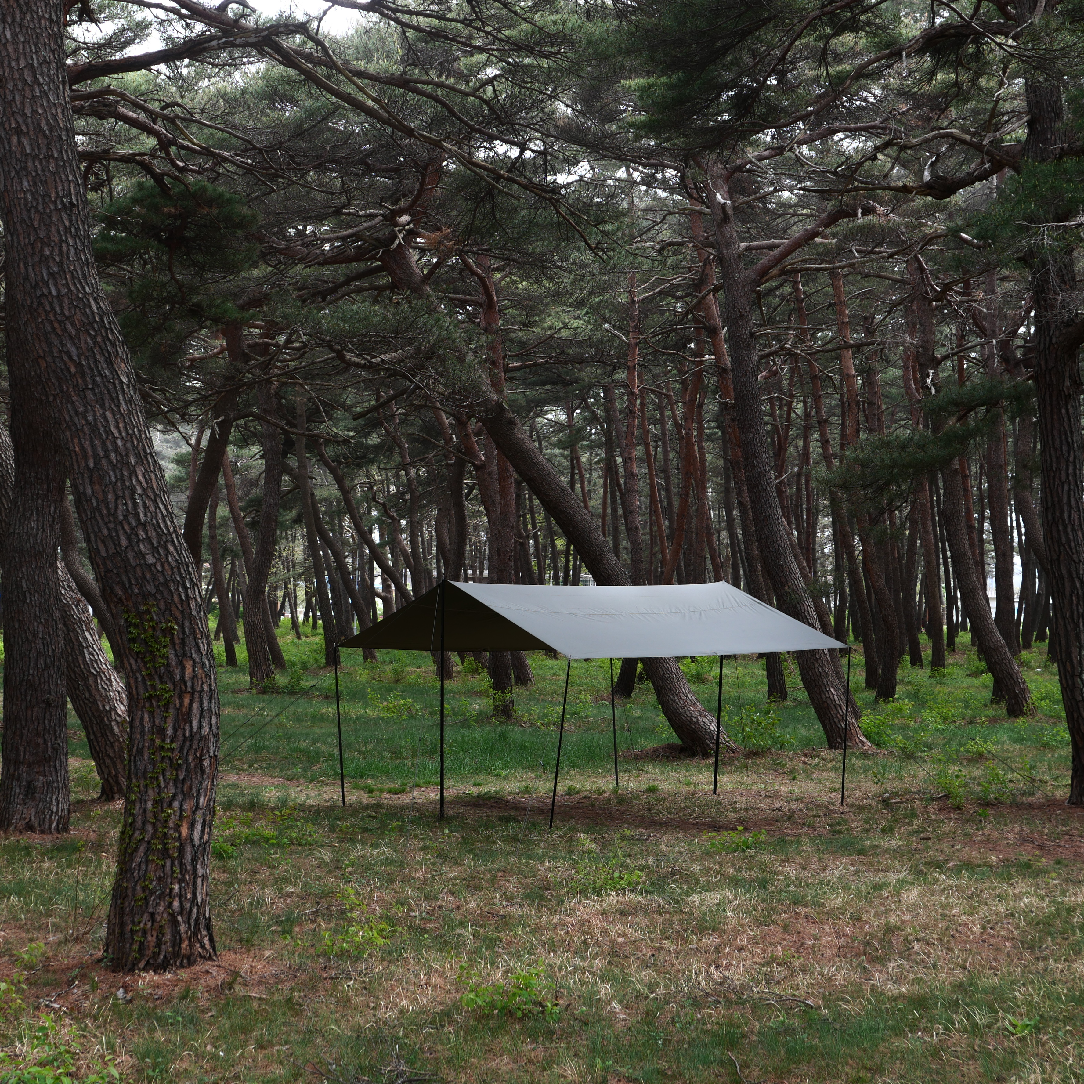 [힙노타이즈] CHILLIN RECTA 450 TARP 칠린 렉타450 올리브피그먼트 타프