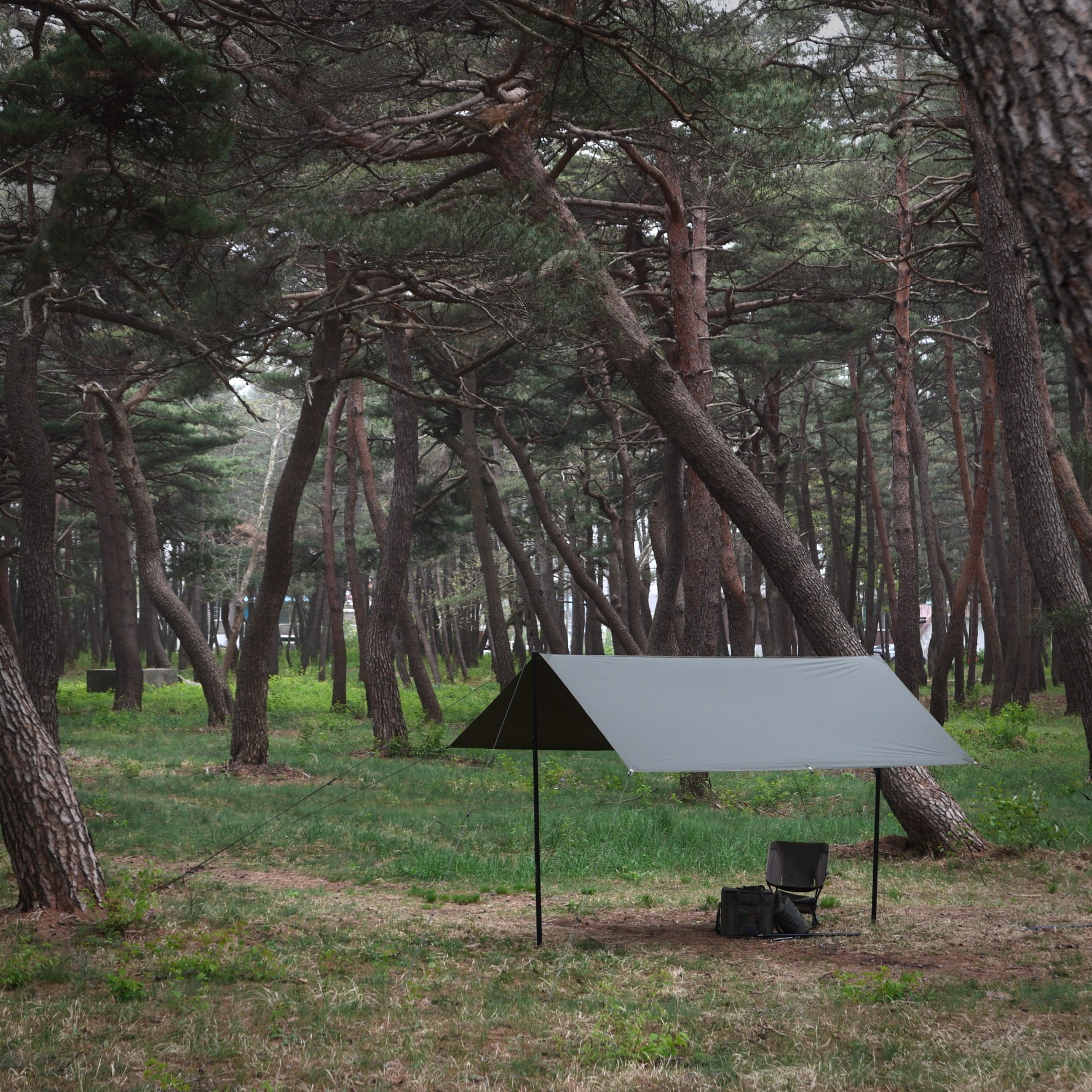 [힙노타이즈] CHILLIN RECTA 350 TARP 칠린 렉타350 올리브피그먼트 타프