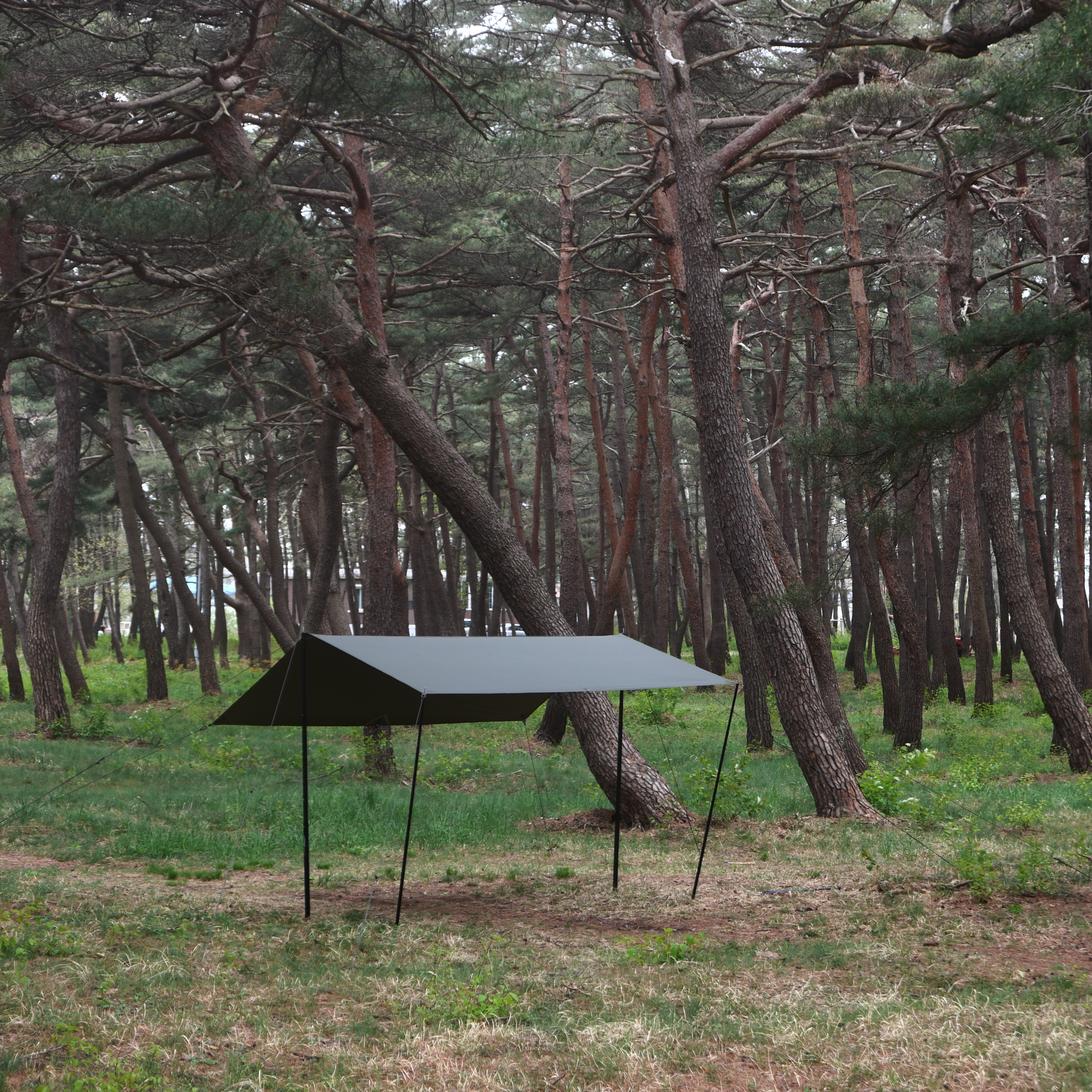 [힙노타이즈] CHILLIN RECTA 350 TARP 칠린 렉타350 올리브피그먼트 타프