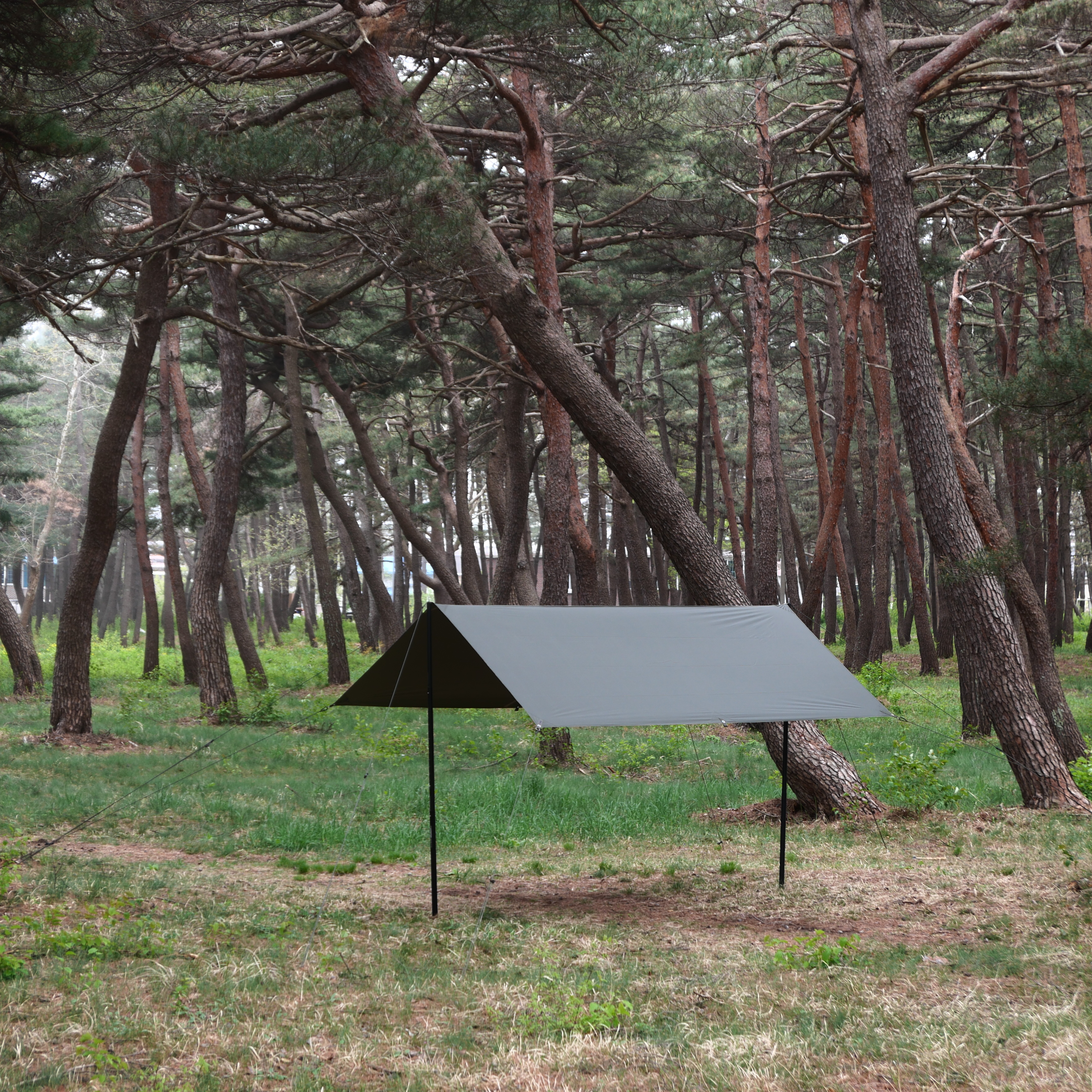 [힙노타이즈] CHILLIN RECTA 350 TARP 칠린 렉타350 올리브피그먼트 타프