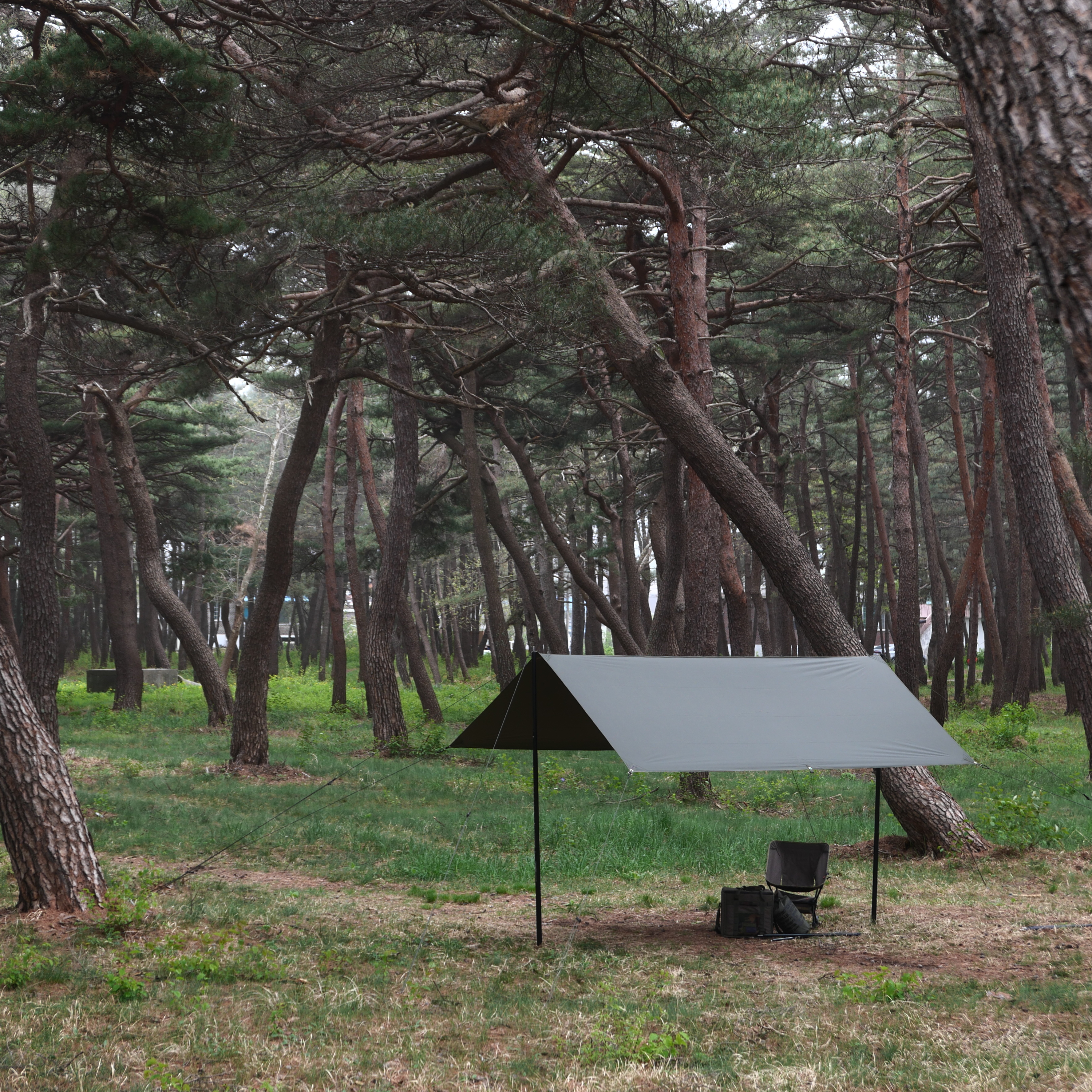 [힙노타이즈] CHILLIN RECTA 350 TARP 칠린 렉타350 올리브피그먼트 타프