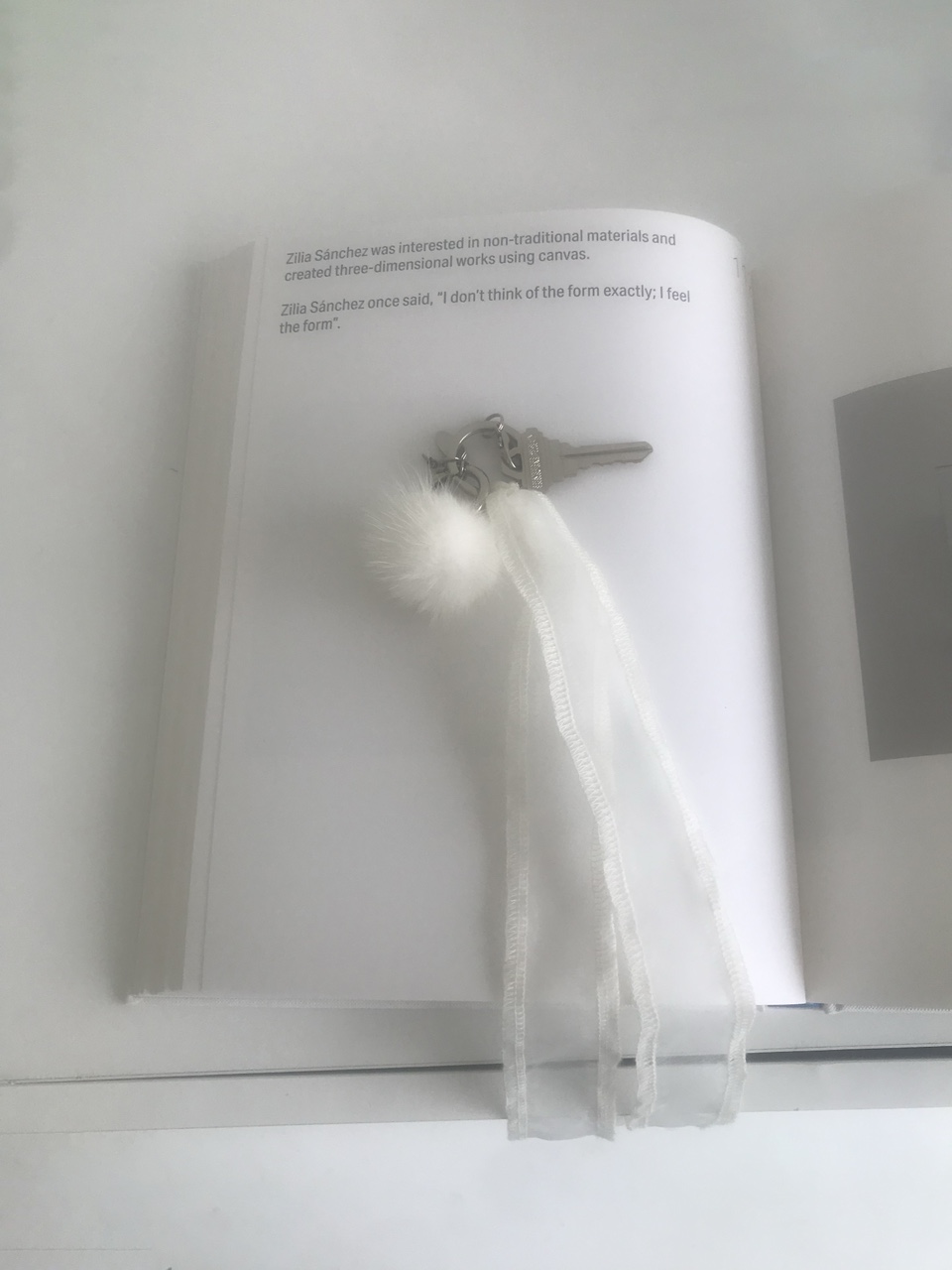 Snow flake keyring /3colors