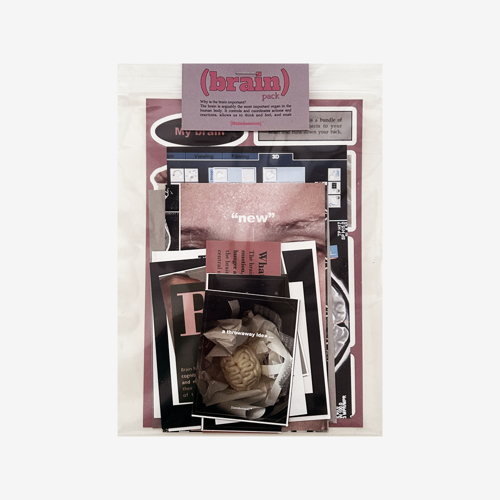 Brain pack
