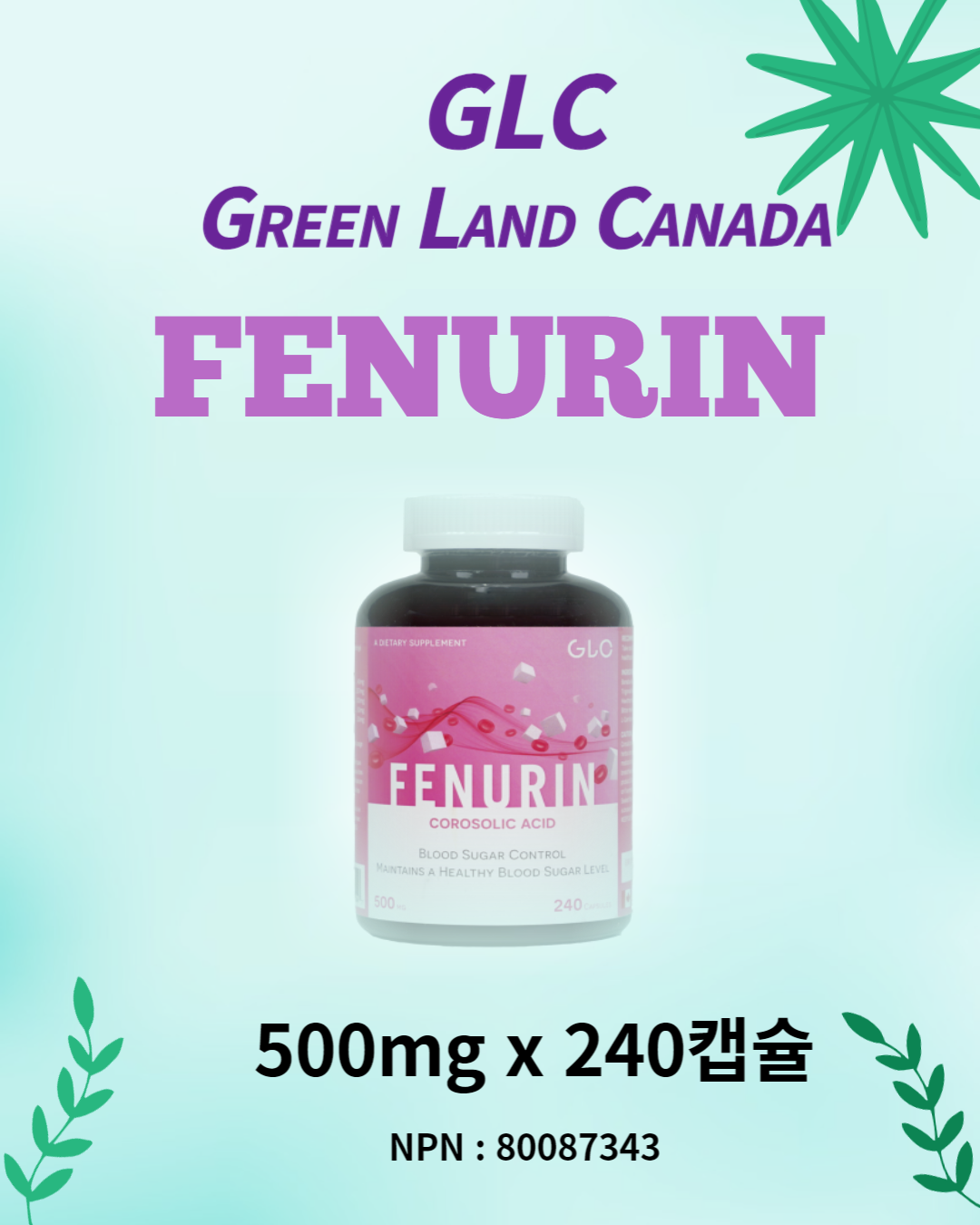 캐나다 페누린 (500mg x 240캡슐 x 1병) 혈당 관리에 효과가 큰 ALL IN ONE 제품