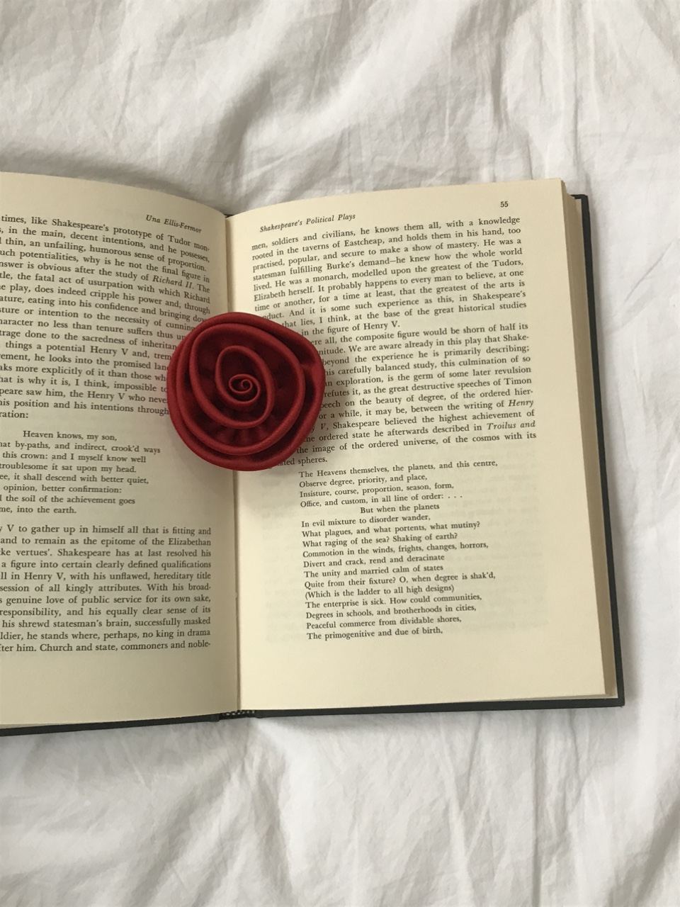 blooming rose tok