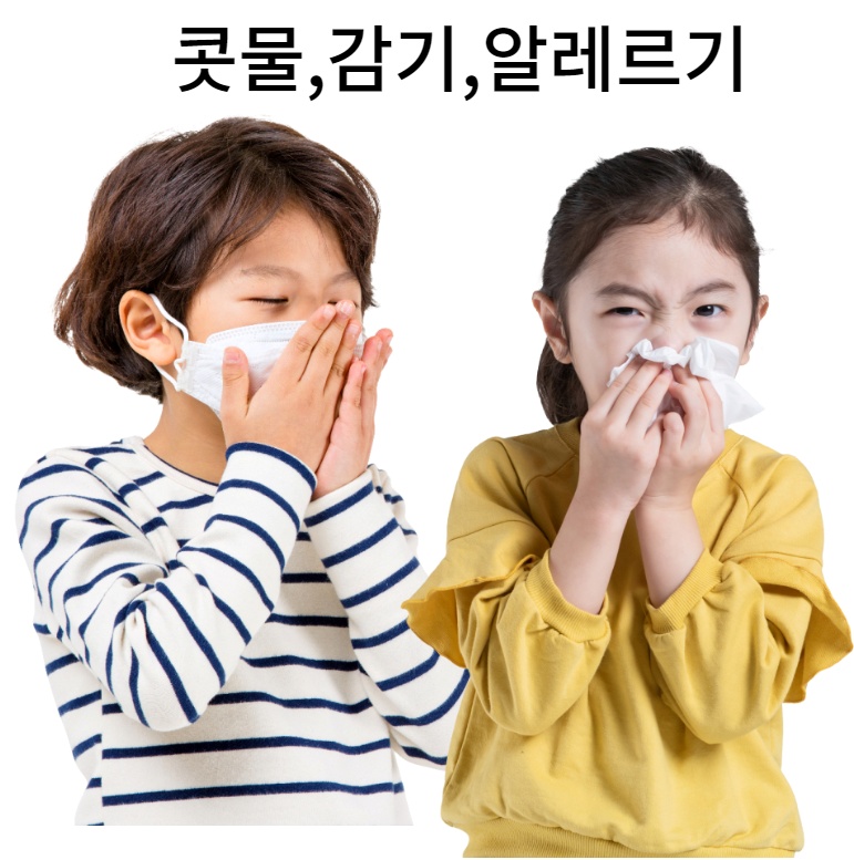 어린이배즙 비염 코막힘 치료하는법 생강 도라지 배즙 기침 감기 예방 50개