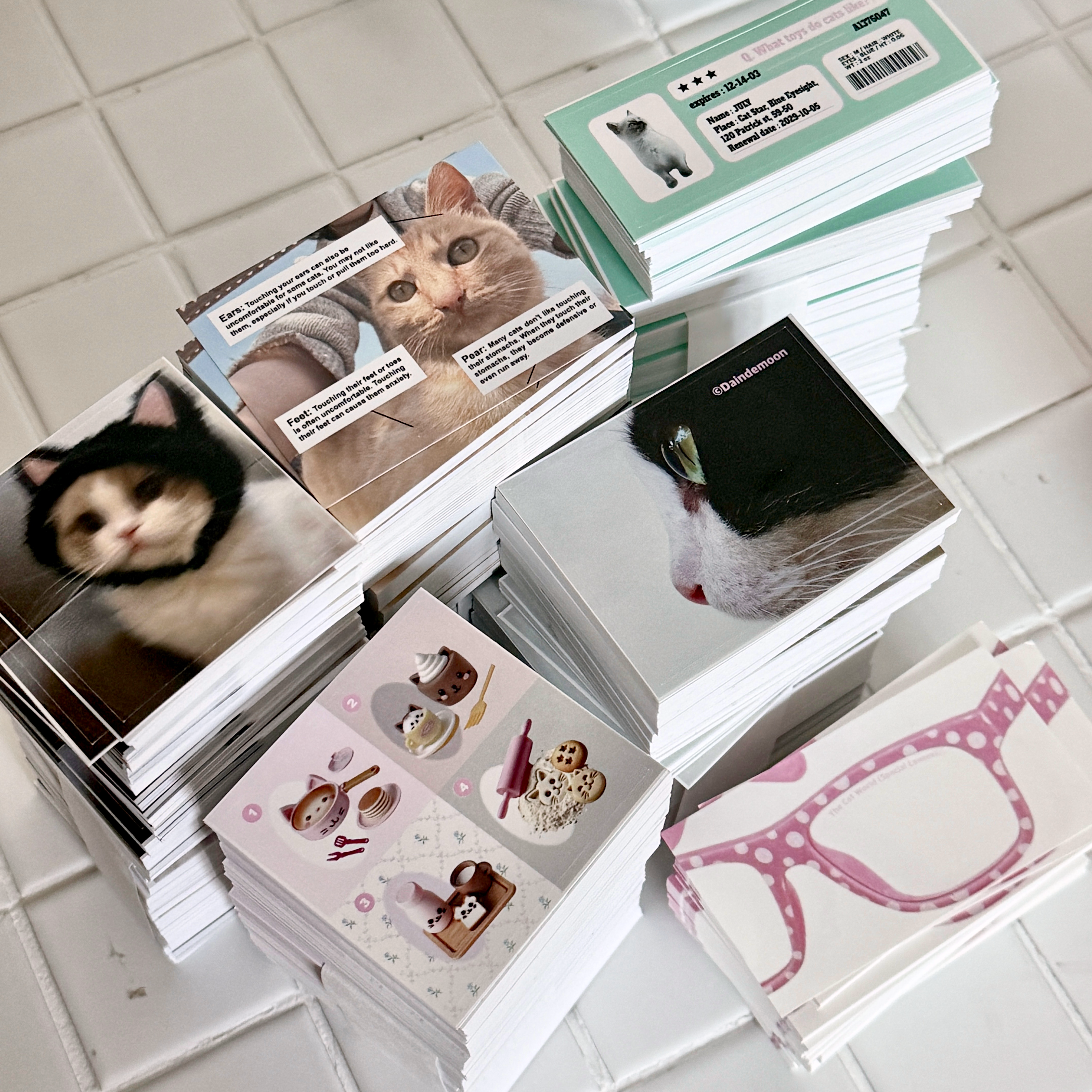 Cat pack