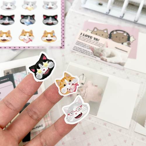 Cat pack