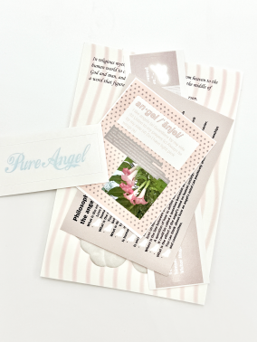 Angel pack