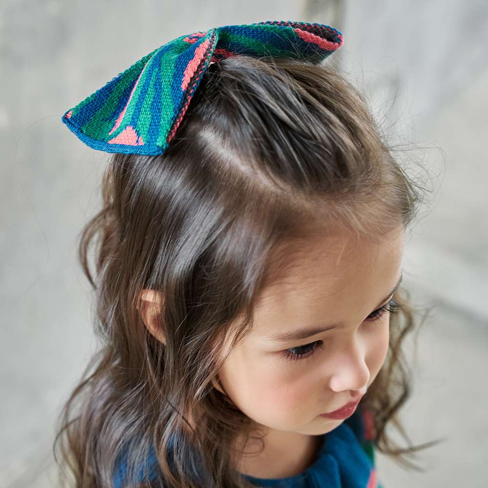 Hairband/Hairclip