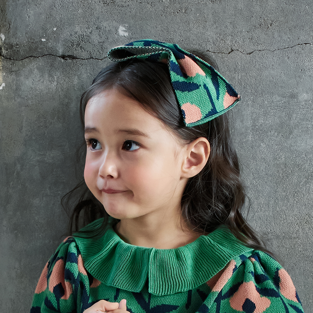 Hairband/Hairclip