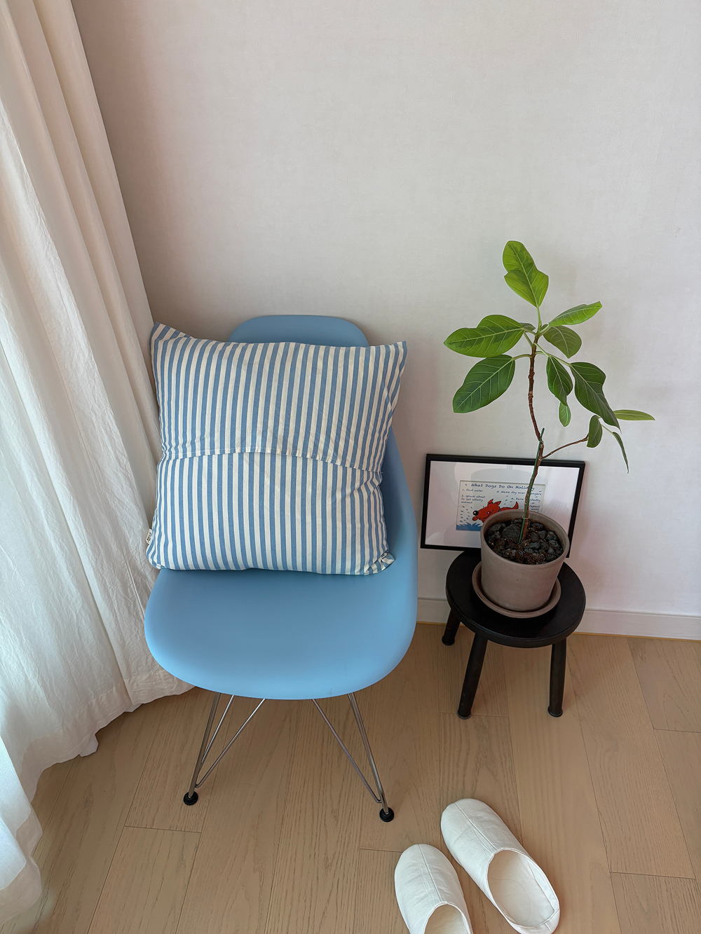 dawn cushion cover