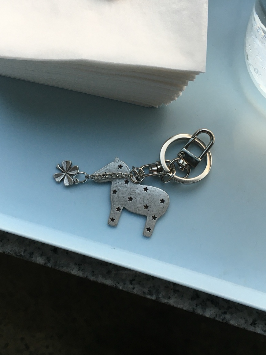 Orb 2026 pony keyring 새해선물 추천!