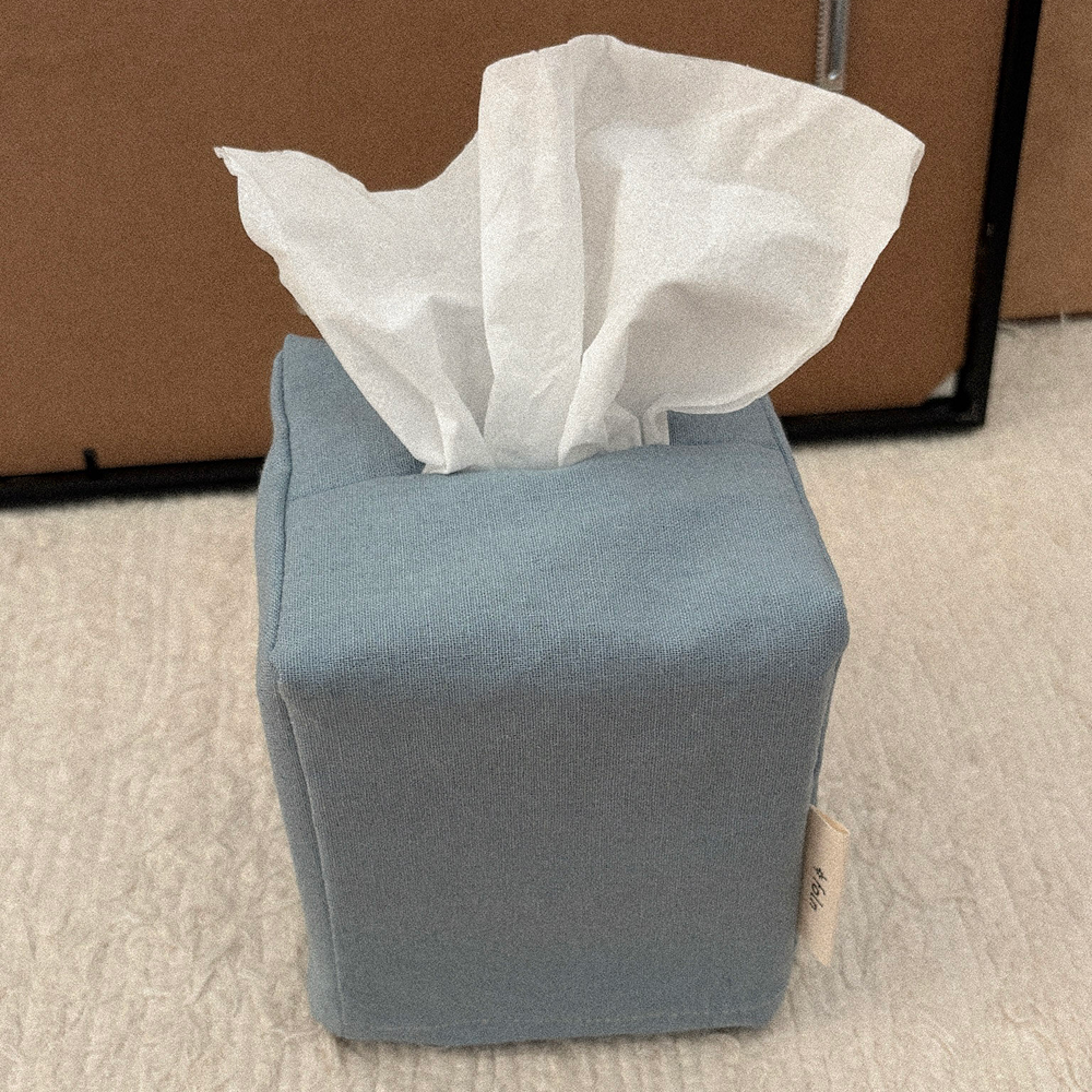 linen tissue case / blue s