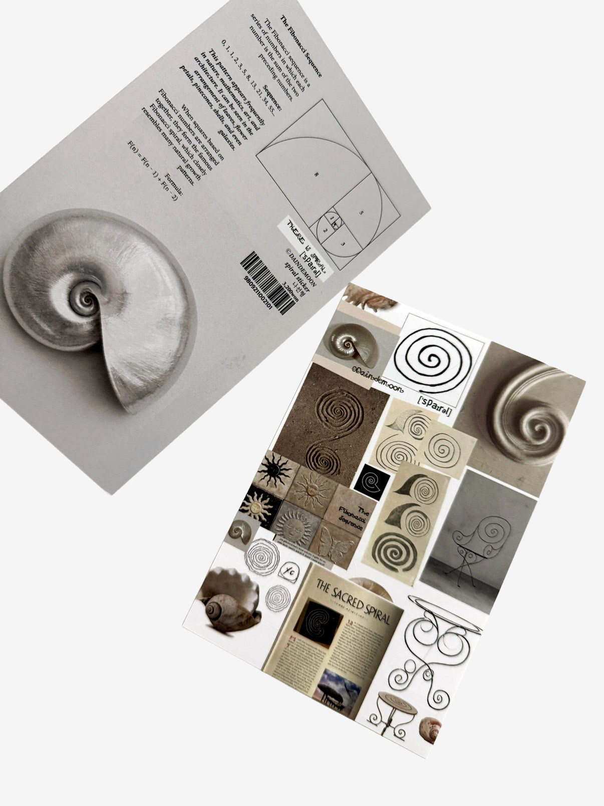 Spiral_나선형