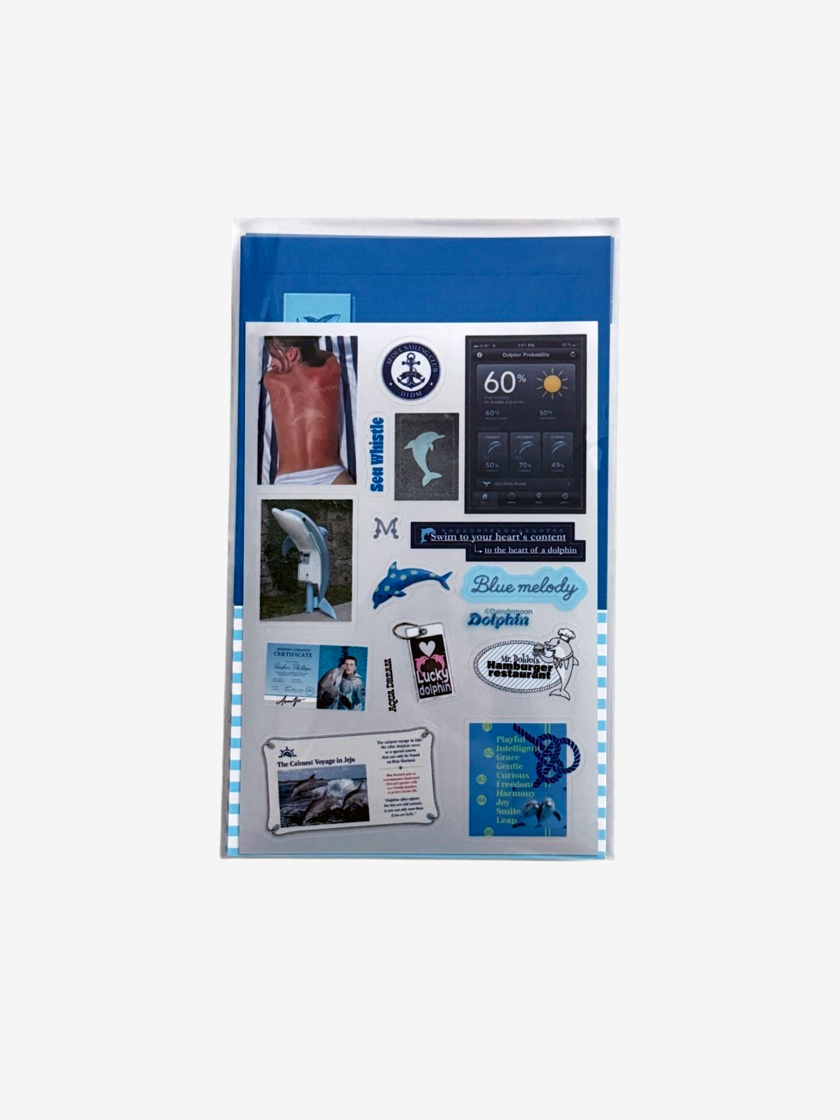 Dolphin_돌고래는 내 친구